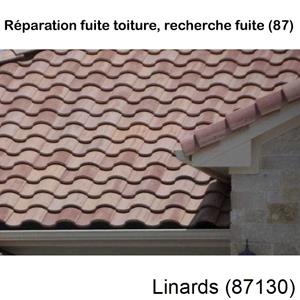 Votre couvreur pour la réparation des toits Linards-87130