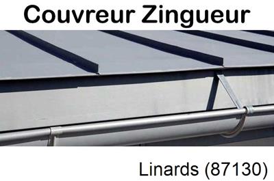 Photo toiture zinc Linards-87130