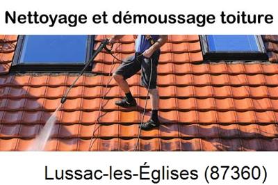 Artisan couvreur propose anti-mousse à Lussac-les-Églises-87360