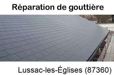 Travaux rénovation gouttière Lussac-les-Églises-87360