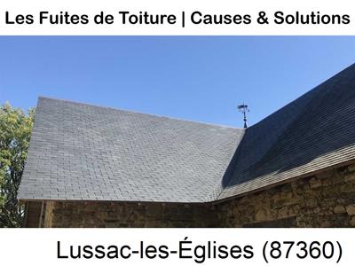 Travaux rénovation toiture à Lussac-les-Églises-87360