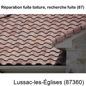 Votre couvreur pour la réparation des toits Lussac-les-Églises-87360