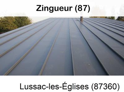 Votre zingueur en image à Lussac-les-Églises-87360