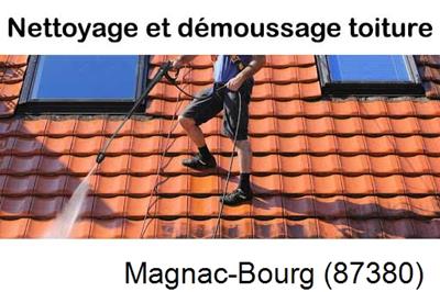 Artisan couvreur propose anti-mousse à Magnac-Bourg-87380