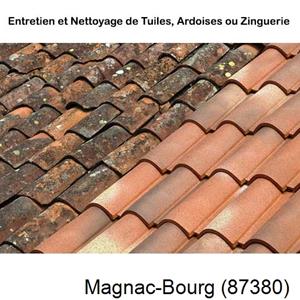 Nettoyage toiture à Magnac-Bourg-87380