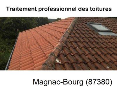 Couvreur pro 87 sur Magnac-Bourg-87380