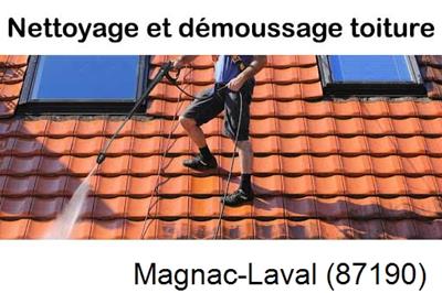 Artisan couvreur propose anti-mousse à Magnac-Laval-87190