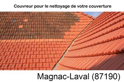 Entreprise de couverture à Magnac-Laval-87190