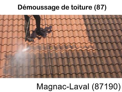 Toiture démoussage Magnac-Laval-87190