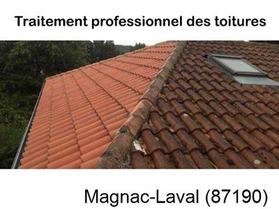 Couvreur pro 87 sur Magnac-Laval-87190