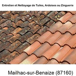 Nettoyage toiture à Mailhac-sur-Benaize-87160