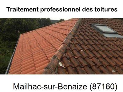 Couvreur pro 87 sur Mailhac-sur-Benaize-87160