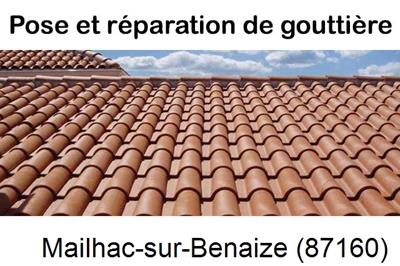 gouttière à Mailhac-sur-Benaize-87160