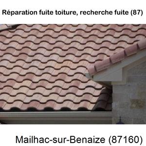 Votre couvreur pour la réparation des toits Mailhac-sur-Benaize-87160