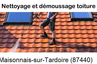 Artisan couvreur propose anti-mousse à Maisonnais-sur-Tardoire-87440