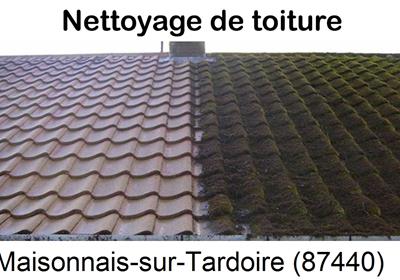 Entreprise de démoussage à Maisonnais-sur-Tardoire-87440