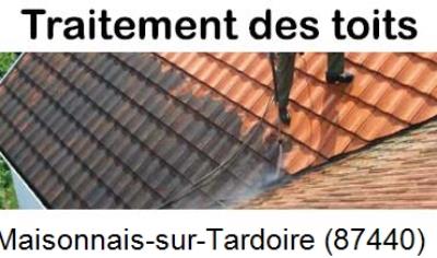 Démoussage sur toiture ardoise et tuile Maisonnais-sur-Tardoire-87440