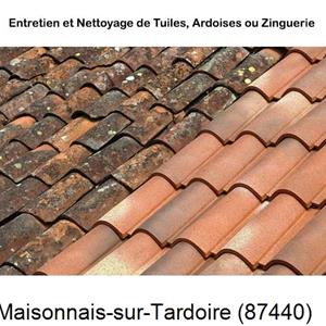 Nettoyage toiture à Maisonnais-sur-Tardoire-87440