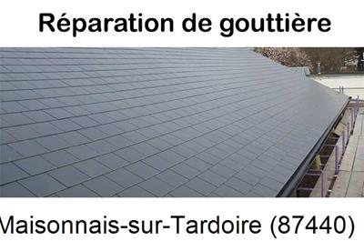 Travaux rénovation gouttière Maisonnais-sur-Tardoire-87440