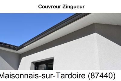 Toiture réparation, nettoyage gouttière Maisonnais-sur-Tardoire-87440