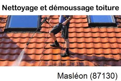 Artisan couvreur propose anti-mousse à Masléon-87130