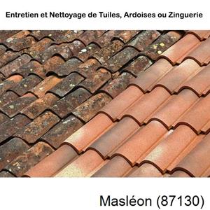 Nettoyage toiture à Masléon-87130