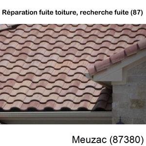 Votre couvreur pour la réparation des toits Meuzac-87380