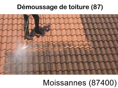 Toiture démoussage Moissannes-87400