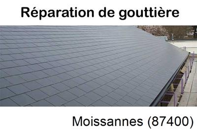 Travaux rénovation gouttière Moissannes-87400