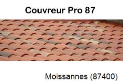 Votre couvreur pour la réparation des toits Moissannes-87400