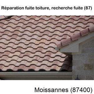 Votre couvreur dans le 87 pour la réparation de votre couverture à Moissannes-87400