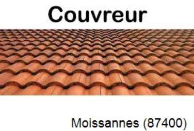 Toiture réparation à Moissannes-87400