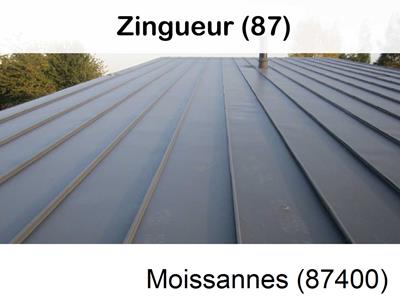 Votre zingueur en image à Moissannes-87400