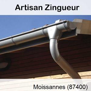 Bardage en zinc à Moissannes-87400