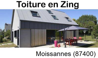 Couverture zing à Moissannes-87400