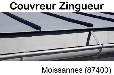 Photo toiture zinc Moissannes-87400