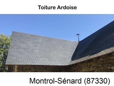 La référence, couvreur 87 Montrol-Sénard-87330