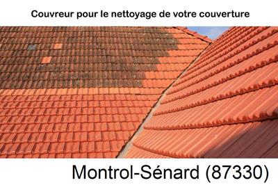 Entreprise de couverture à Montrol-Sénard-87330