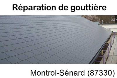 Travaux rénovation gouttière Montrol-Sénard-87330