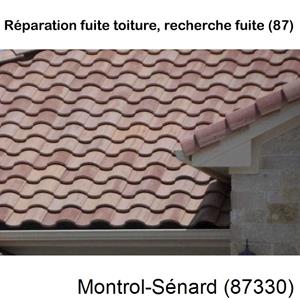 Votre couvreur pour la réparation des toits Montrol-Sénard-87330