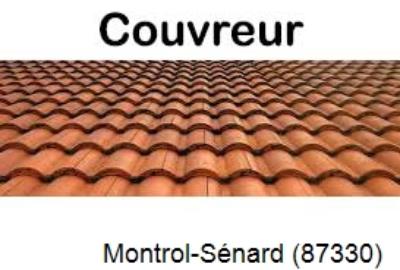 Toiture réparation à Montrol-Sénard-87330