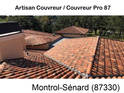 Votre couvreur dans le 87 pour la réparation de votre couverture à Montrol-Sénard-87330