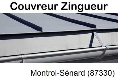 Photo toiture zinc Montrol-Sénard-87330