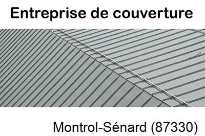 Couvreur pro 87 Montrol-Sénard-87330