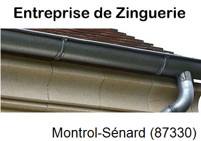 Artisan couvreur zingueur Montrol-Sénard-87330