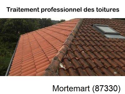 Couvreur pro 87 sur Mortemart-87330