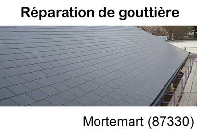 Travaux rénovation gouttière Mortemart-87330