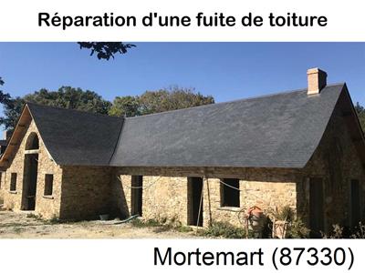 Artisan couvreur à la recherche d'une fuite Mortemart-87330