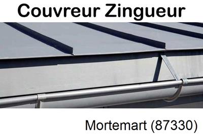 Photo toiture zinc Mortemart-87330