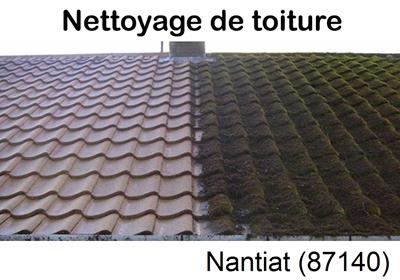 Entreprise de démoussage à Nantiat-87140